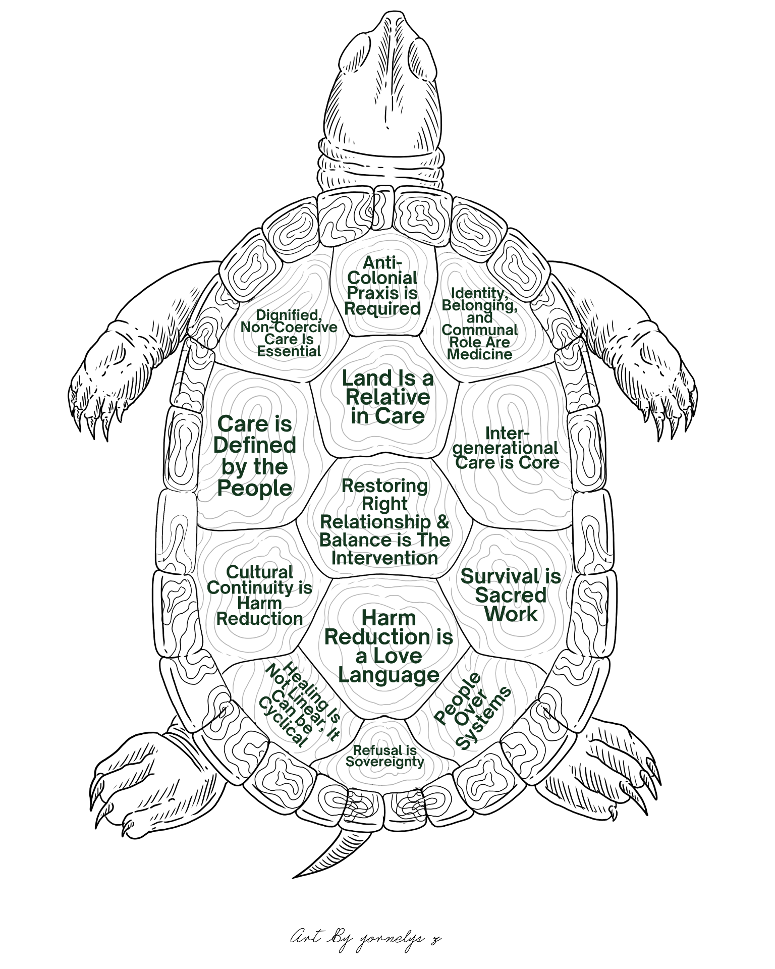 Illustrated turtle shell mapping the 13 Tortogita Indigenous Harm Reduction Teachings